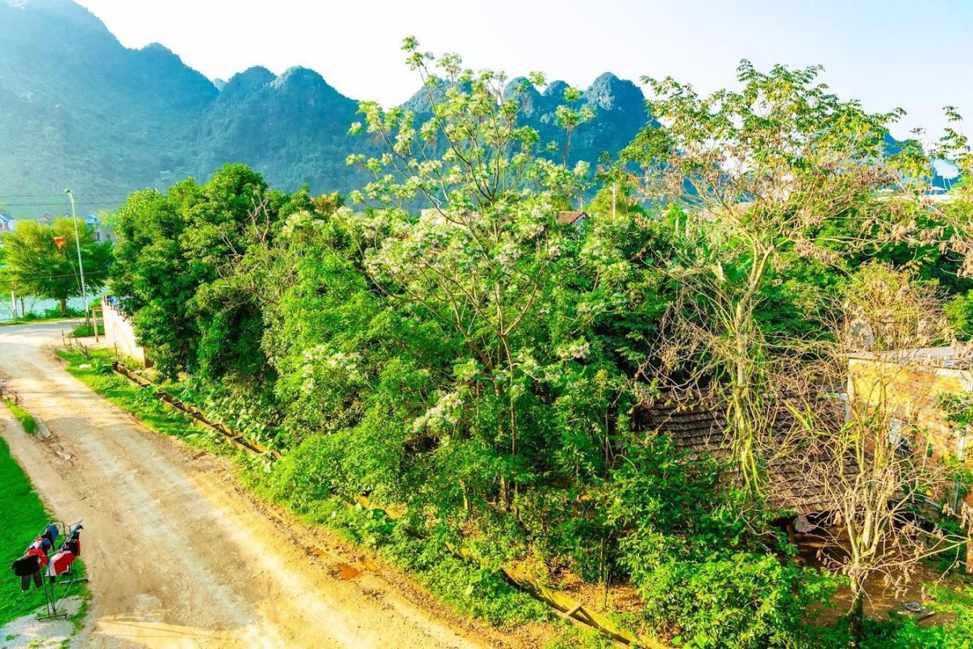 Phong Nha Cherish House Lejlighed Eksteriør billede